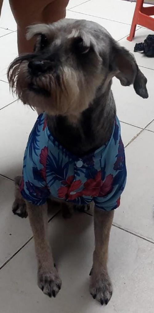 Rocky
