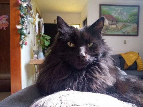 Pablo