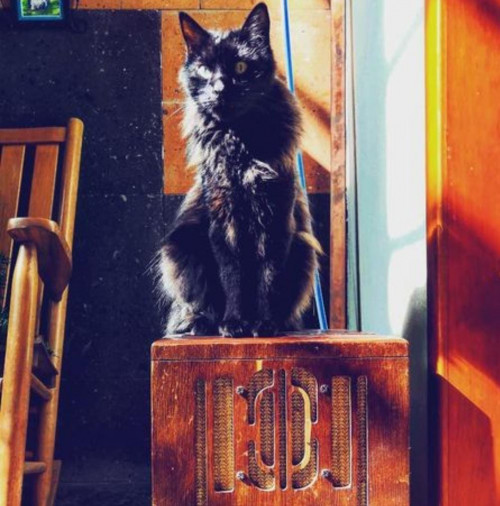 Pablo
