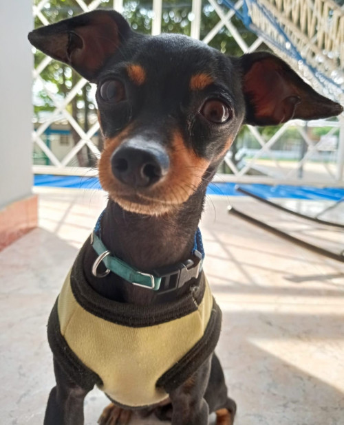 Lucas