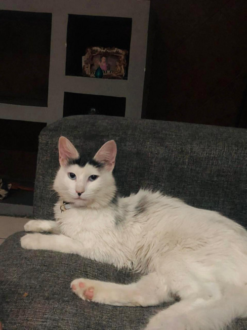 Kiro
