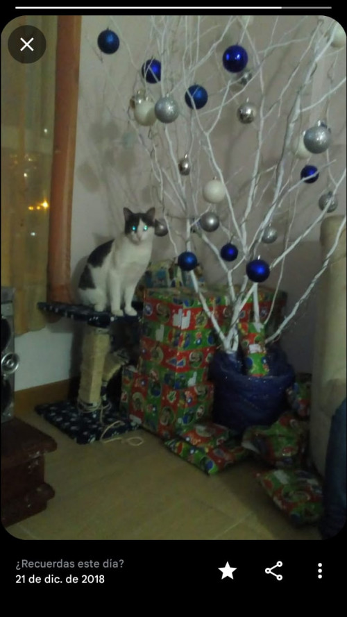 Tom