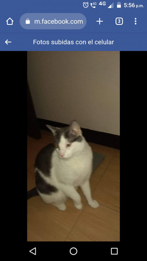 Tom