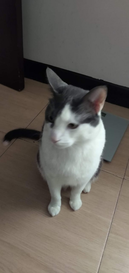 Tom