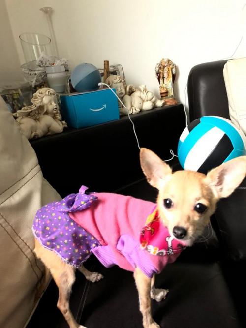 Cenicienta