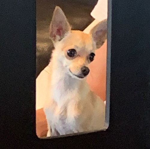 Cenicienta
