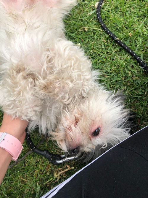 Lukas