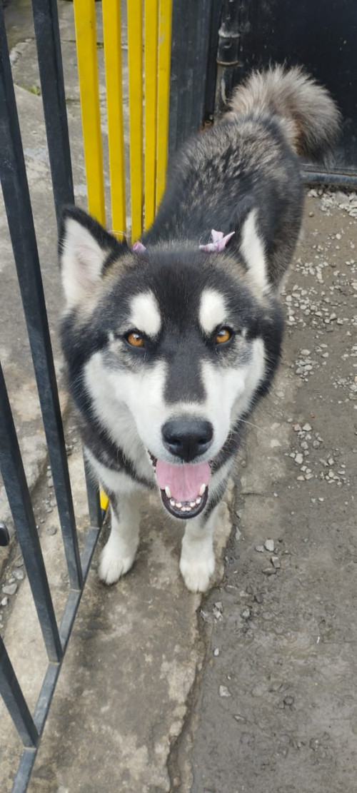 Alaska