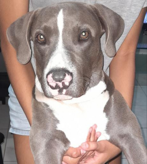 Odin