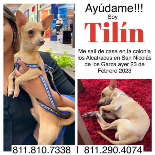Tilín