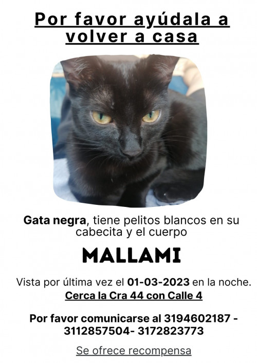Mallami