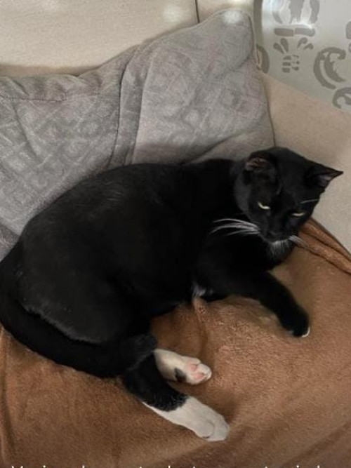Blacky