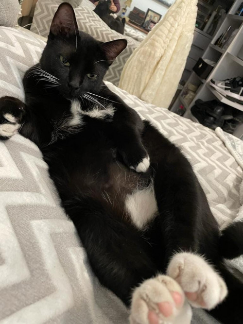 Blacky