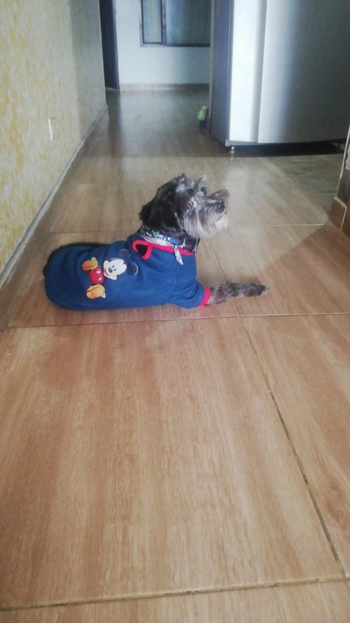 Tommy