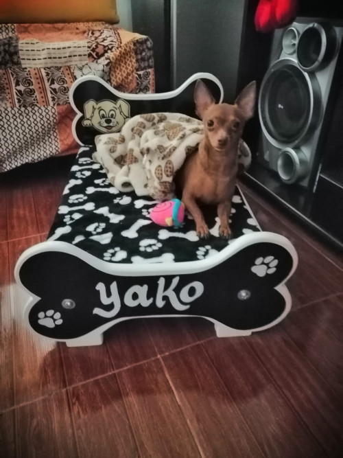 Yako