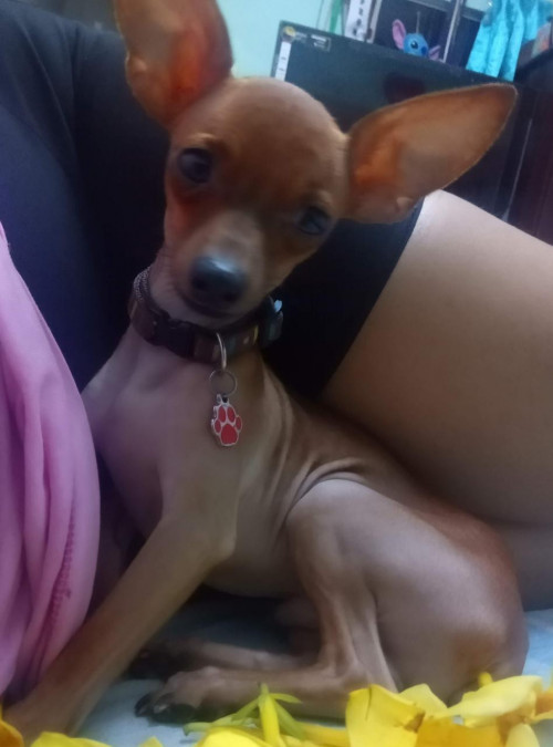 Jerry