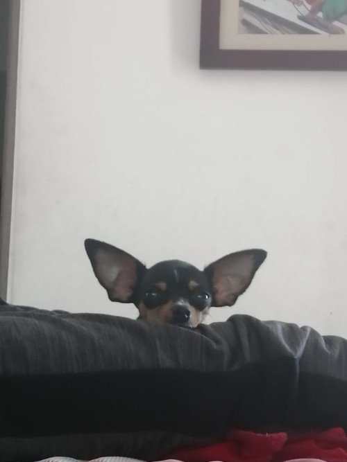 Luna