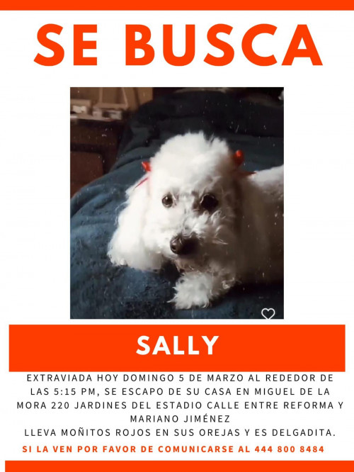 Sally