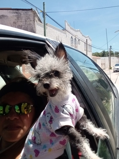Pequeña
