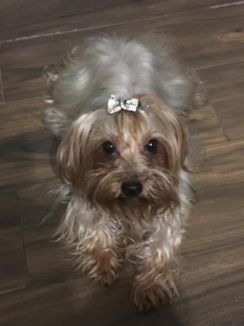Muñeca