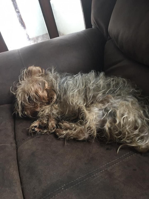 Muñeca