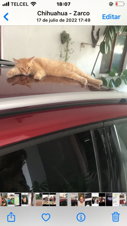 Luis