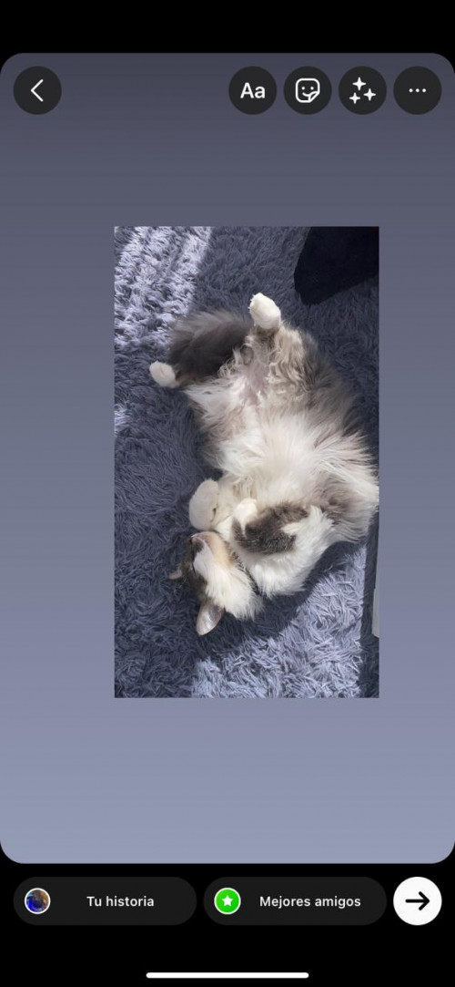 Thomas