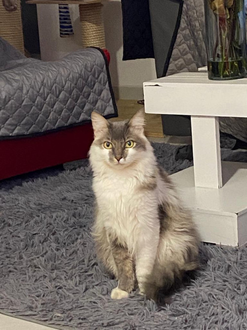Thomas