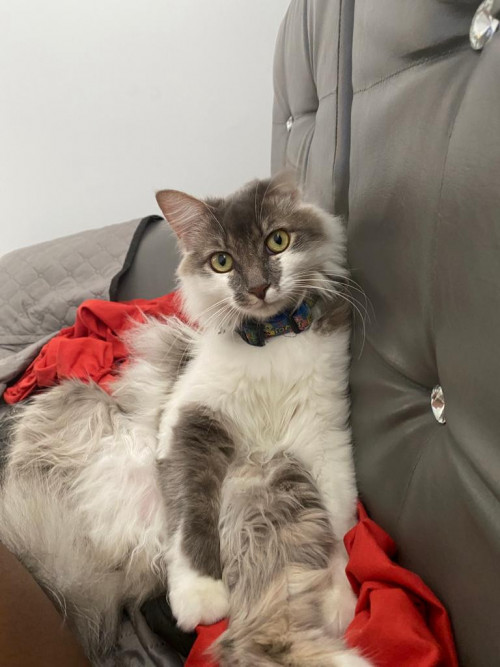 Thomas