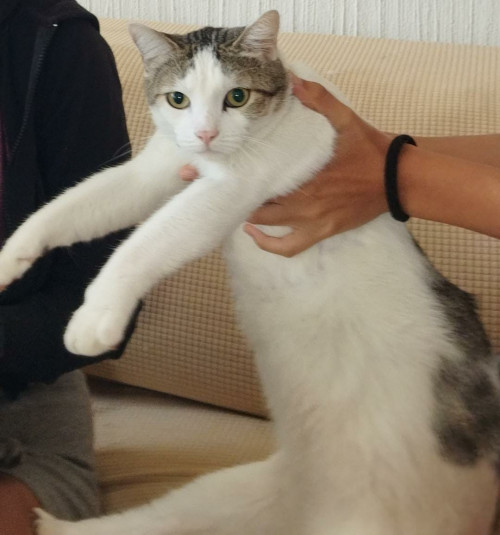 Astro