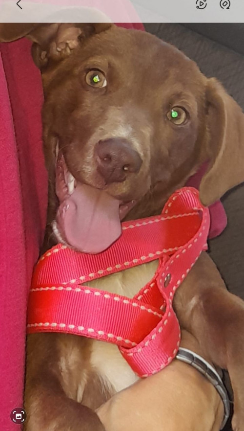 Luna