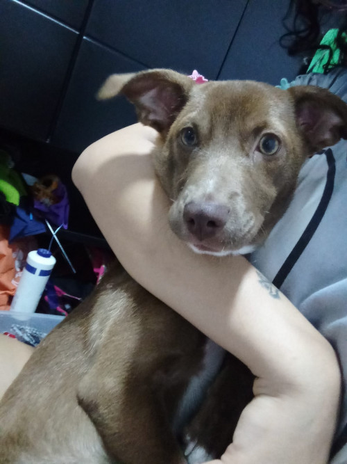 Luna