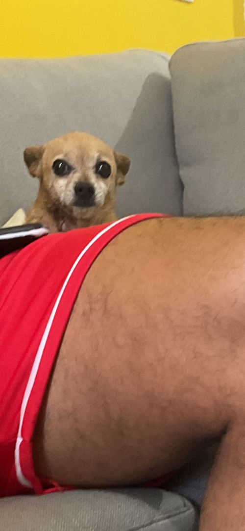 Gorda