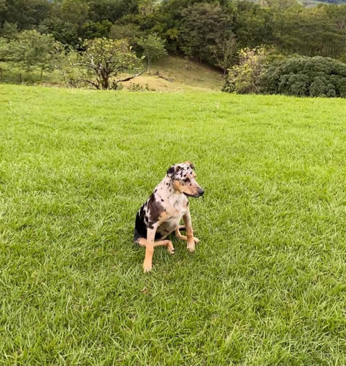 Tina