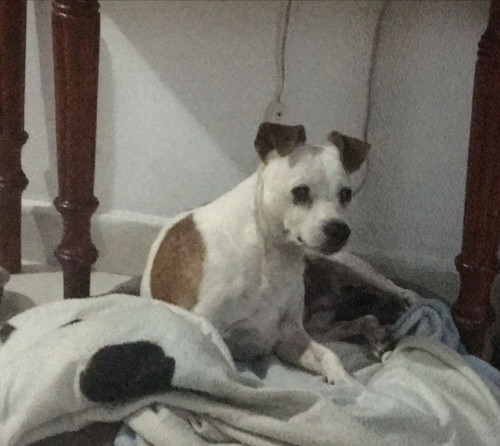 Kaiser