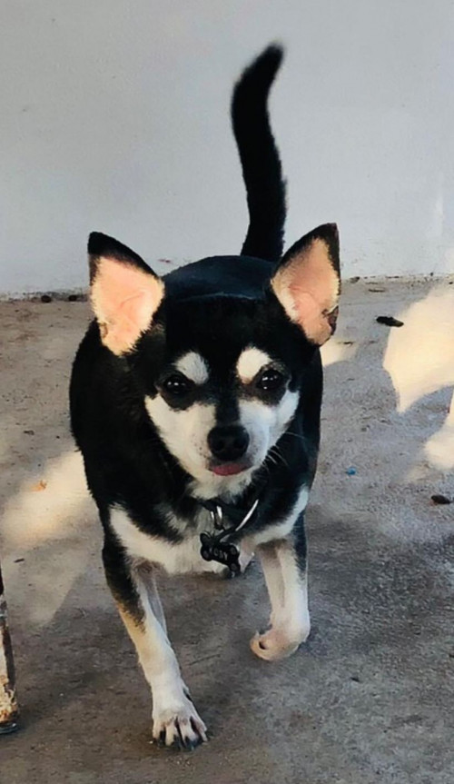 Koby