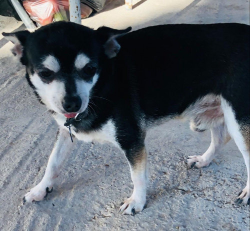 Koby
