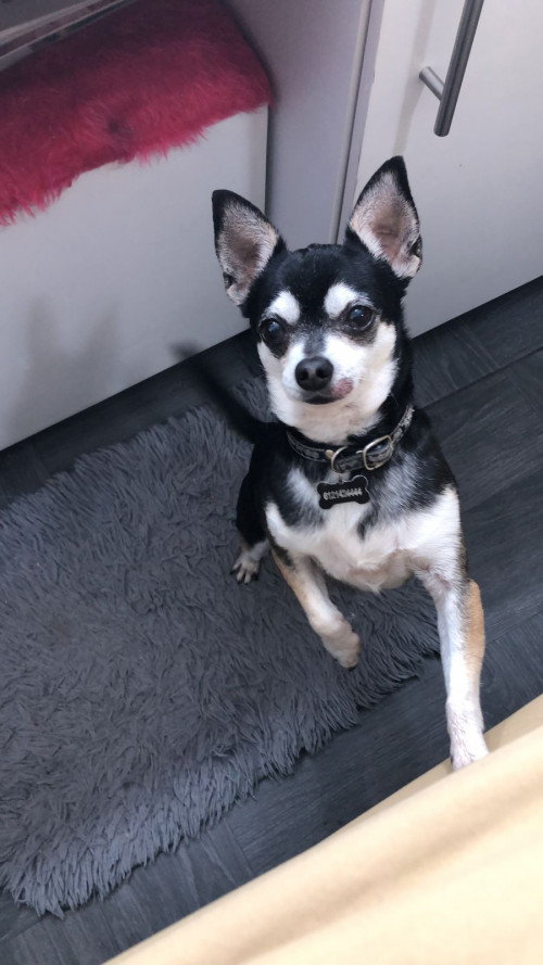 Koby