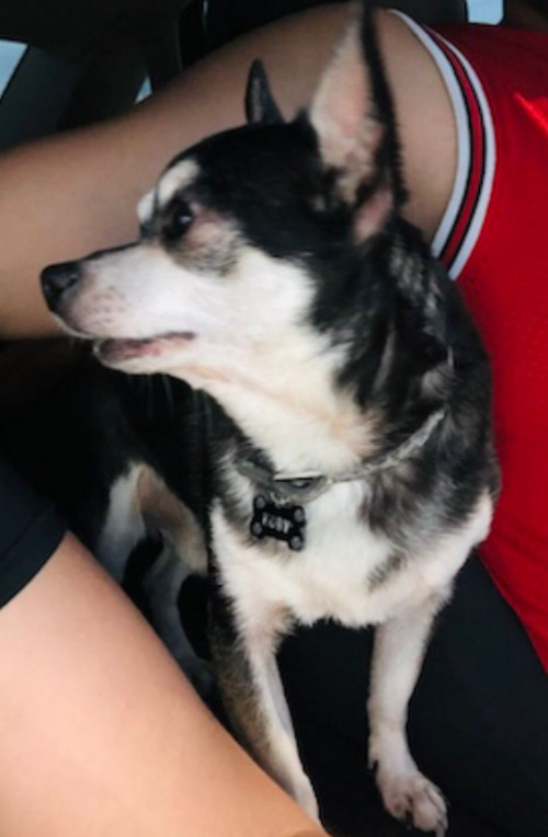 Koby