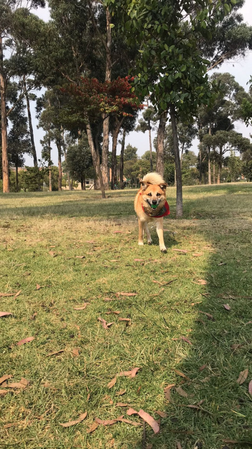 Zeus
