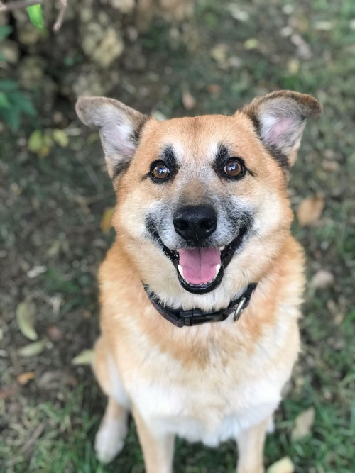Zeus