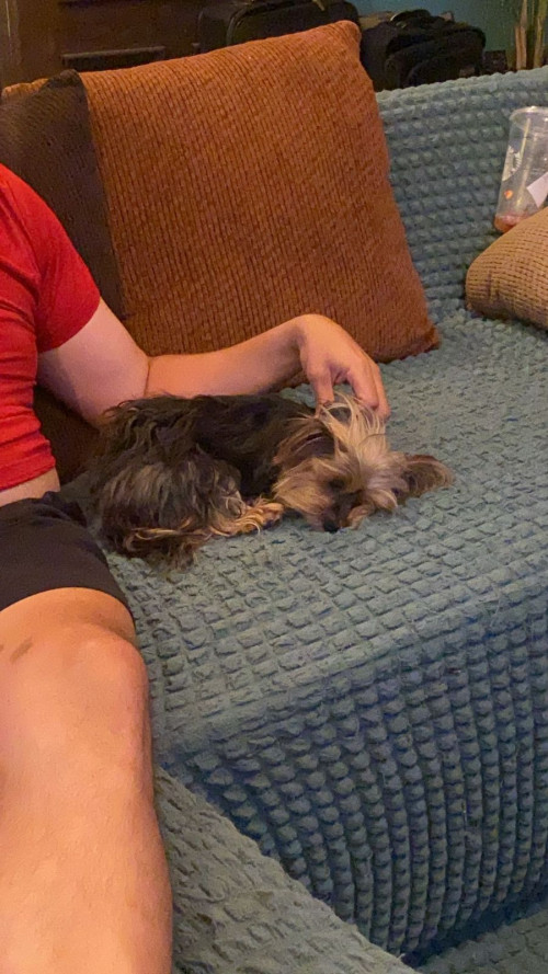 Bella