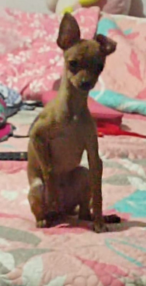 Noa