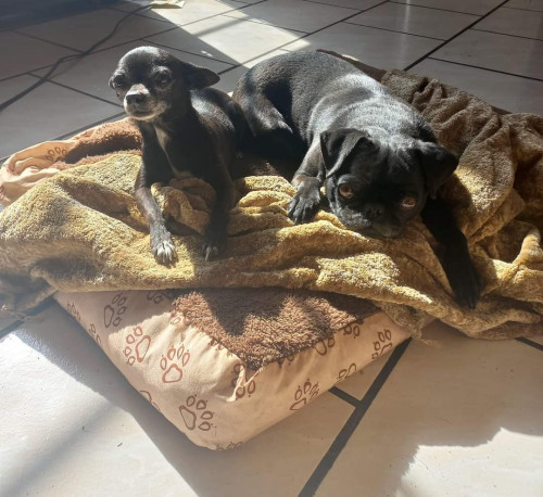 Ruhanna Y Negrita
