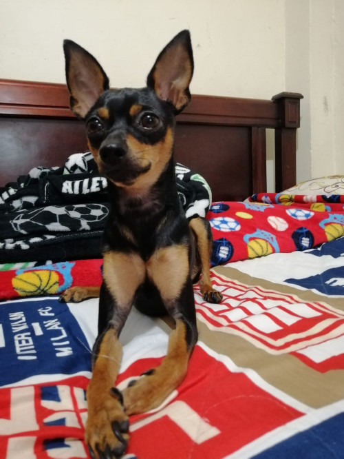 Andy