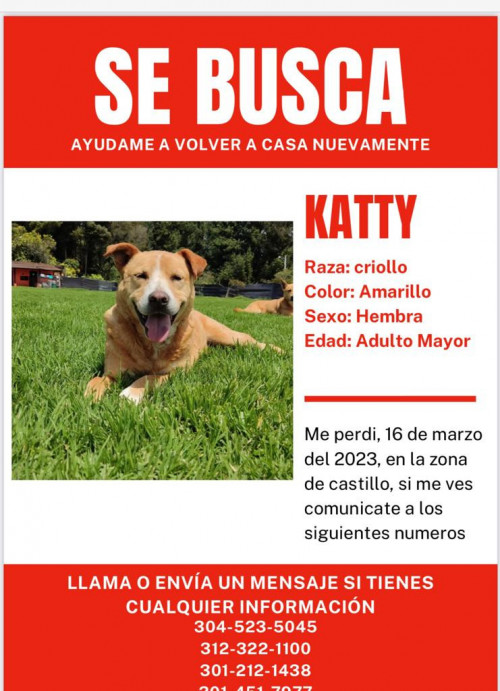 Katty