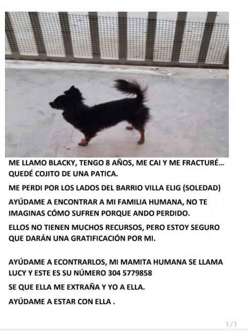 Blacky