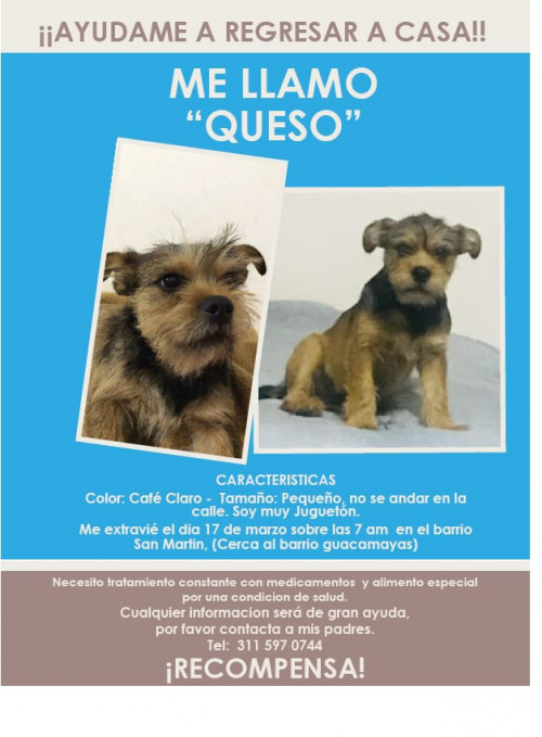 Queso