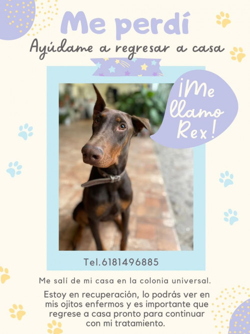 Rex