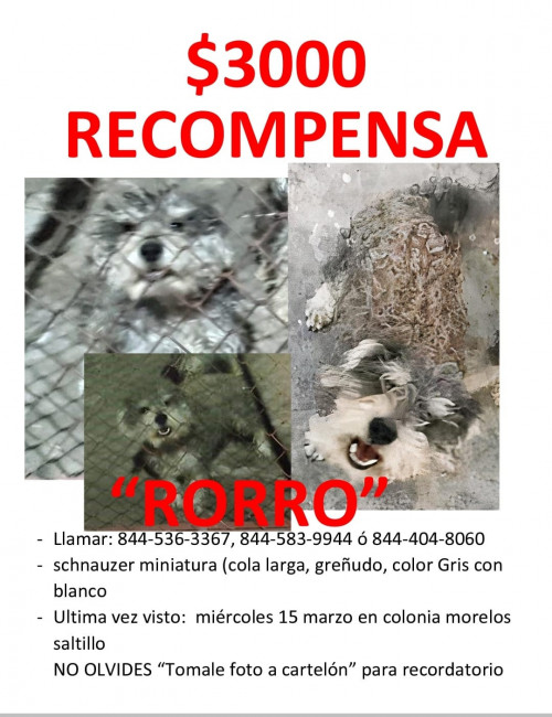 Rorro